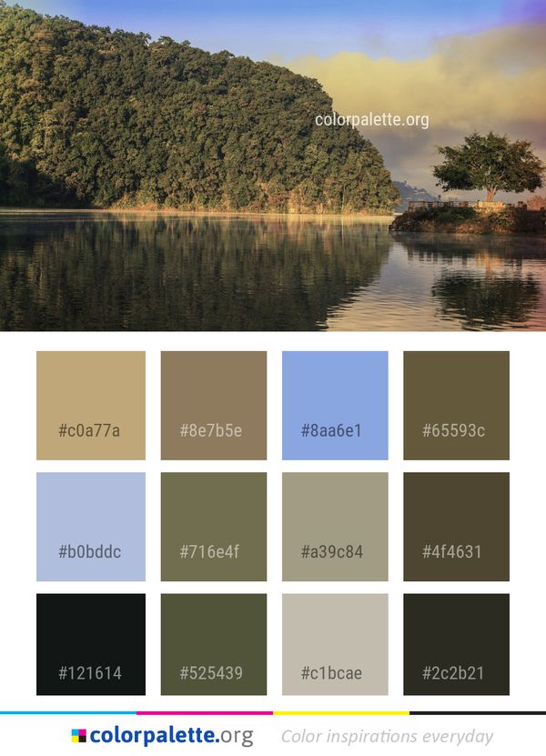 Reflection Nature Water Color Palette