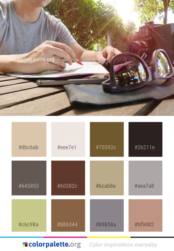 Sitting Reading Product Color Palette