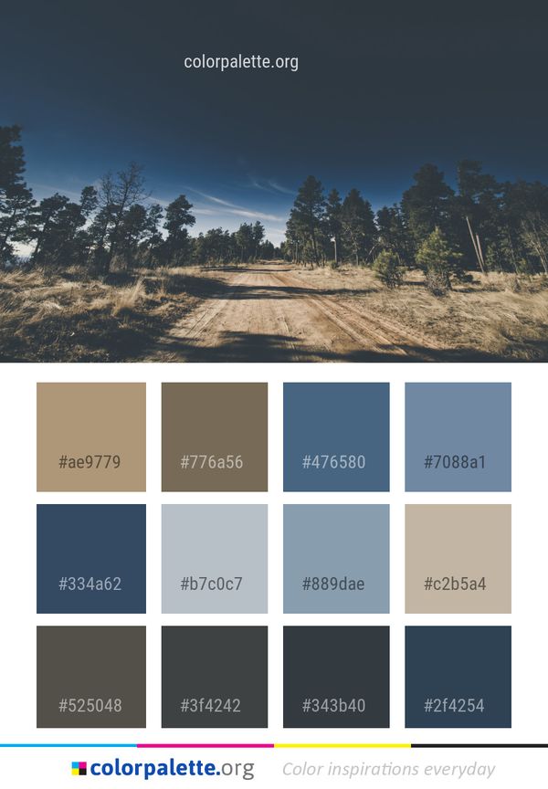 Sky Nature Tree Color Palette