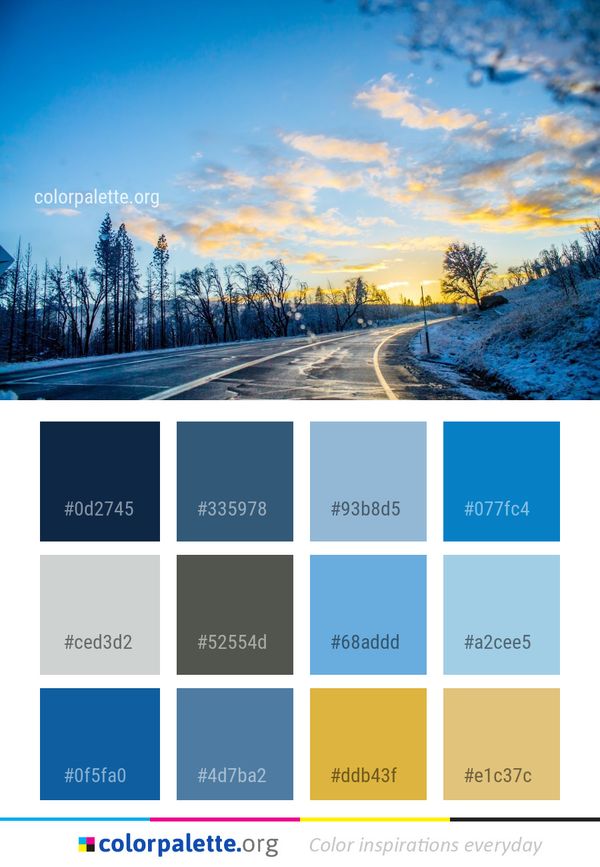 Sky Road Nature Color Palette