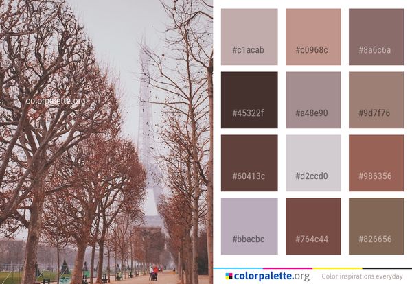 Tree Branch Woody Plant Color Palette