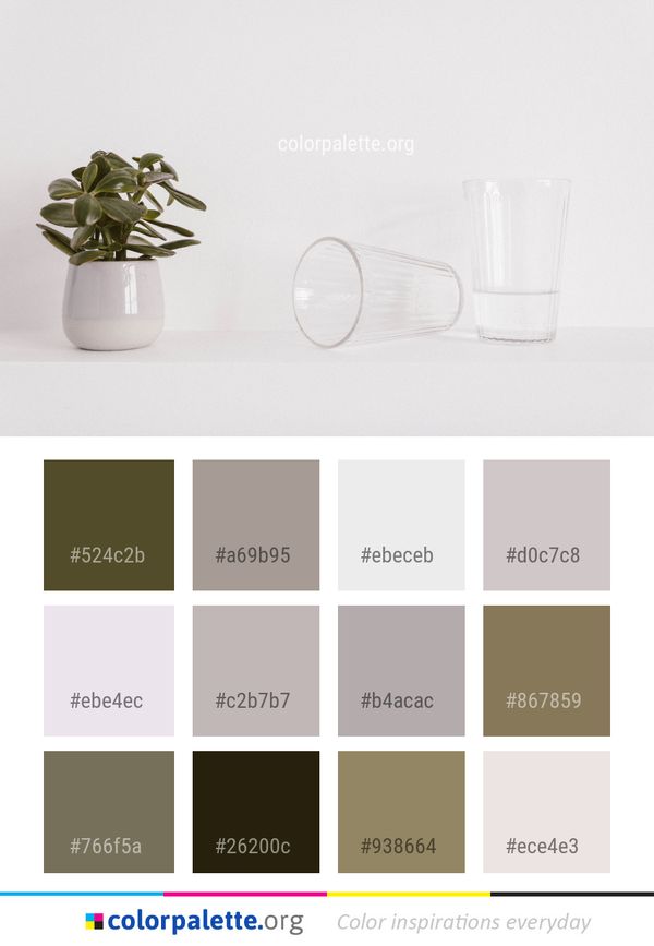 Vase Glass Flowerpot Color Palette