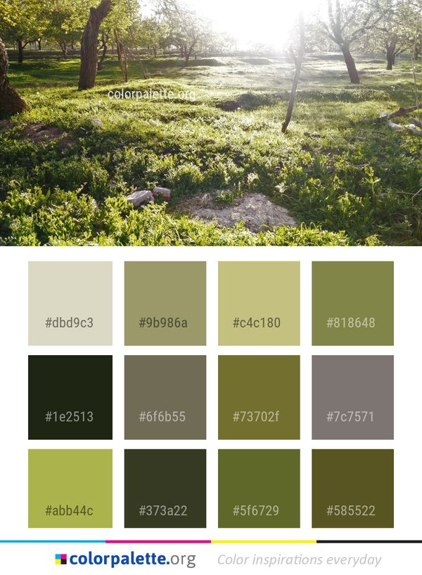 Vegetation Nature Reserve Ecosystem Color Palette