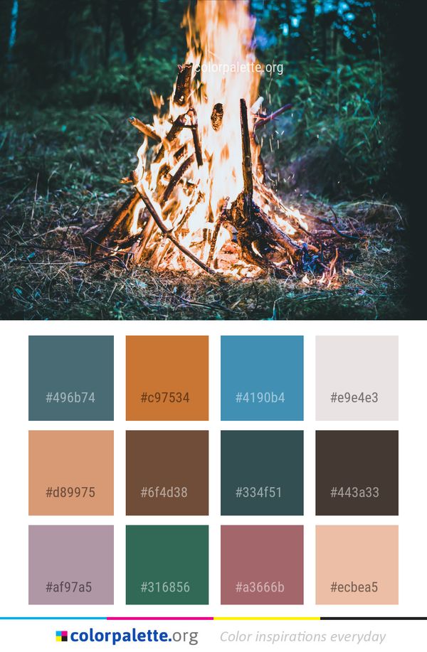 Water Tree Organism Color Palette
