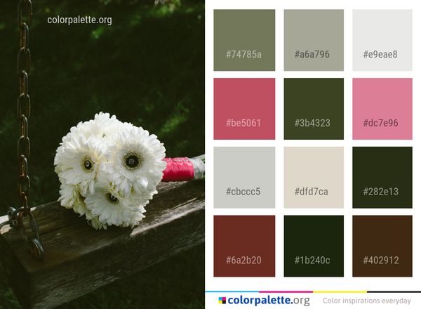 White Flower Flora Color Palette
