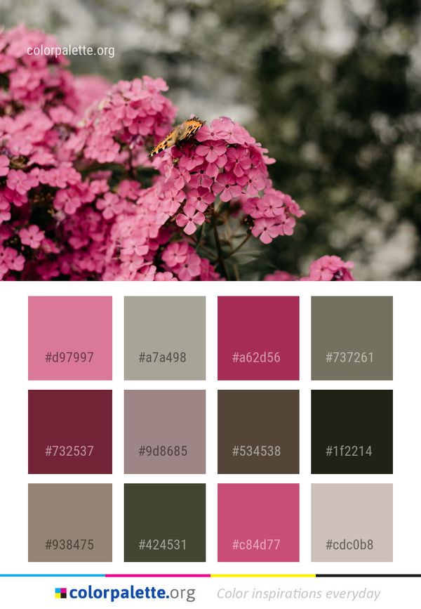 Flower Pink Flora Color Palette