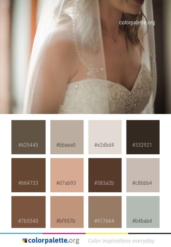 Gown Bride Wedding Dress Color Palette