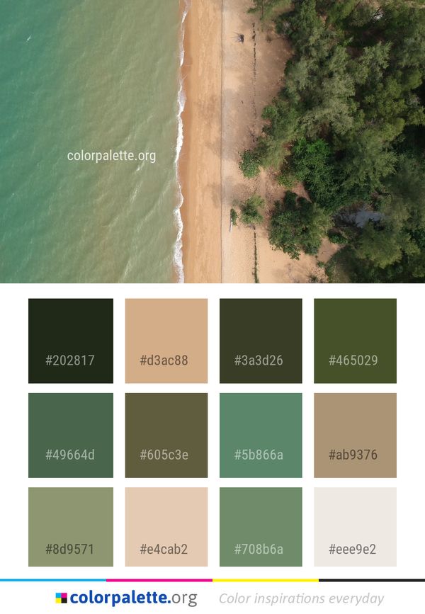 Green Water Sky Color Palette