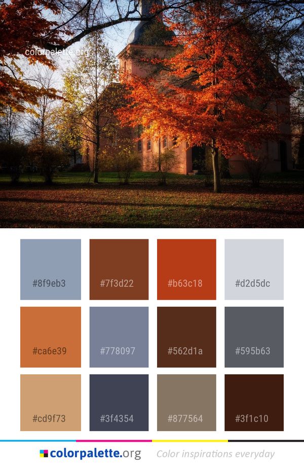 Leaf Nature Tree Color Palette