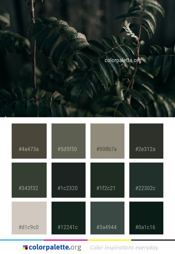 Leaf Vegetation Plant Color Palette