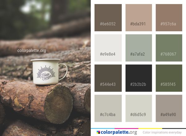 Photography Color Palette