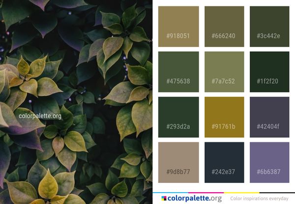 Plant Leaf Green Color Palette