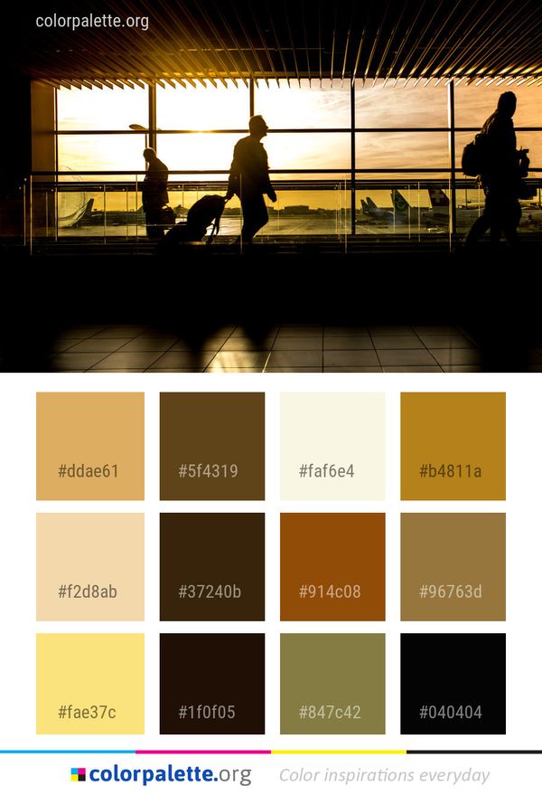 Reflection Light Silhouette Color Palette