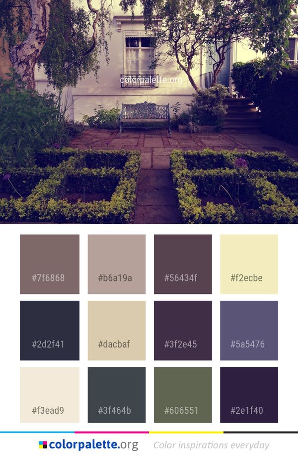 Tree Home House Color Palette