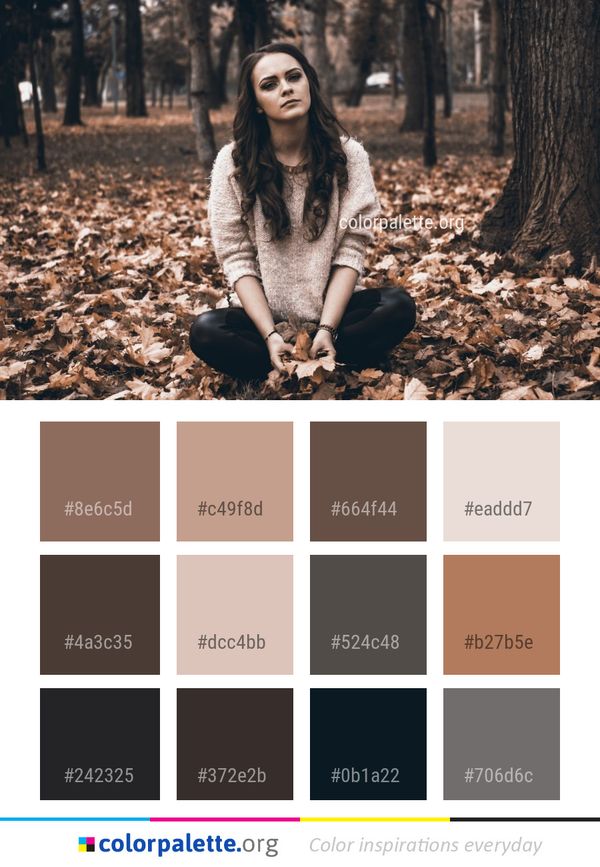 Tree Photograph Nature Color Palette