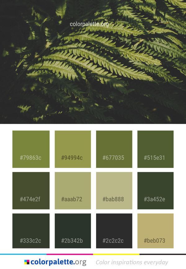 Vegetation Plant Ecosystem Color Palette