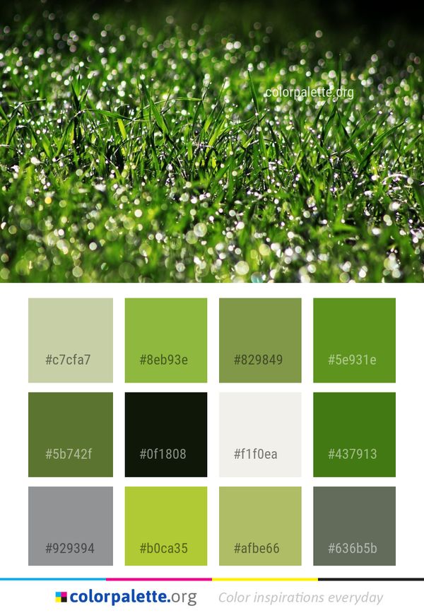 Water Green Grass Color Palette