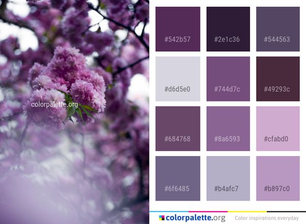 Flower Pink Purple Color Palette