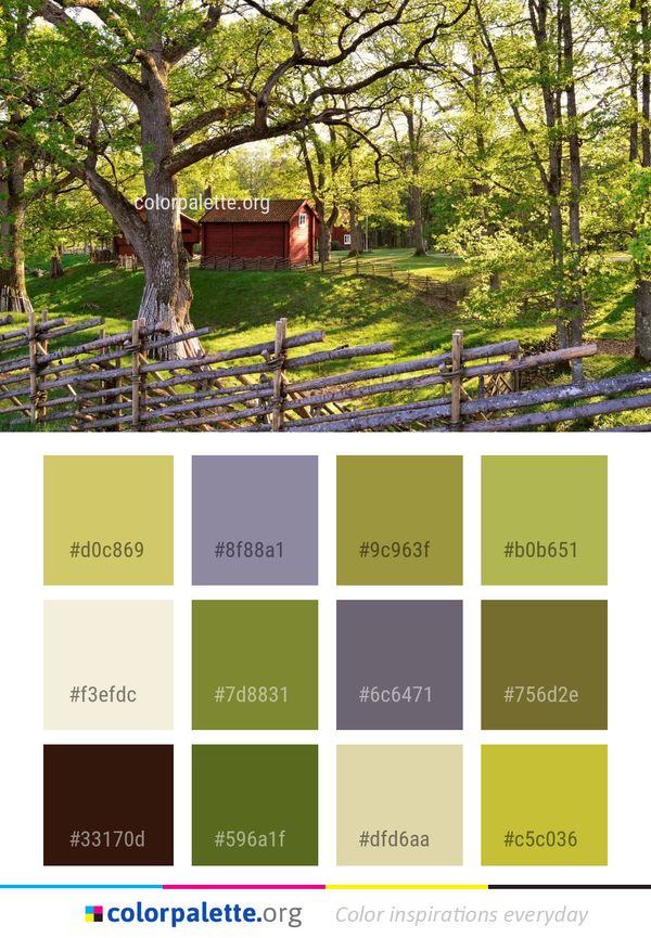 Nature Reserve Property Tree Color Palette