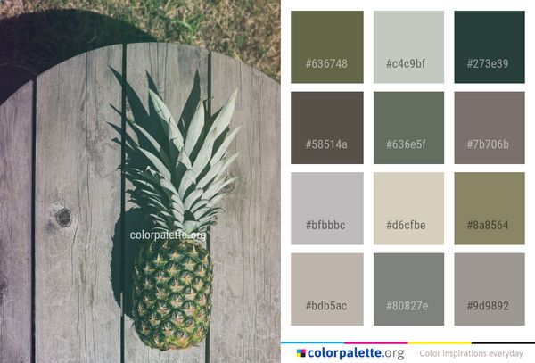 Pineapple Plant Leaf Color Palette