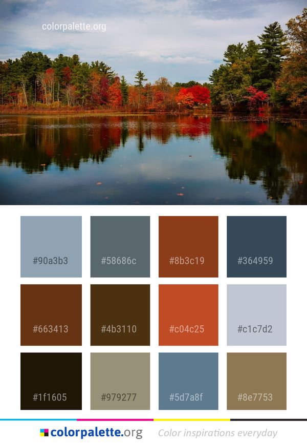 Reflection Water Leaf Color Palette