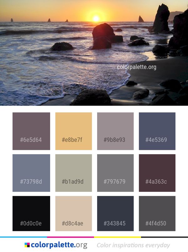 Sea Shore Coast Color Palette