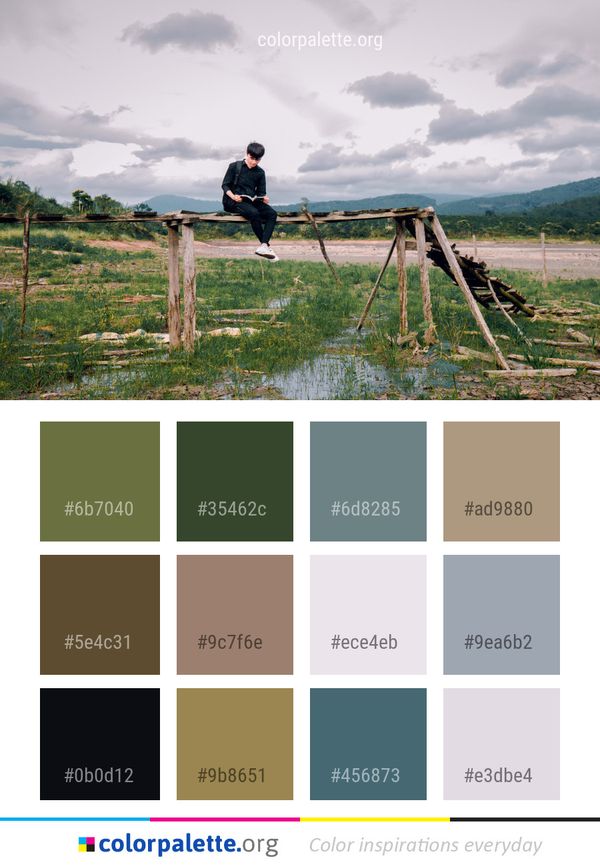 Sky Cloud Tree Color Palette