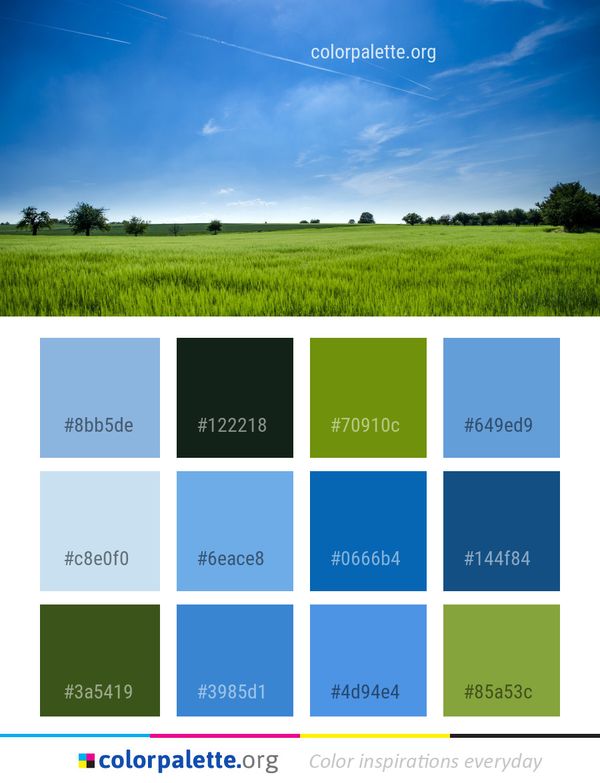 Sky Grassland Paddy Field Color Palette