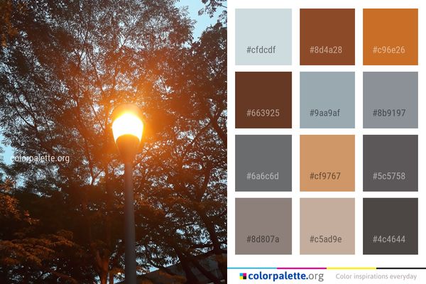 Sky Tree Light Color Palette