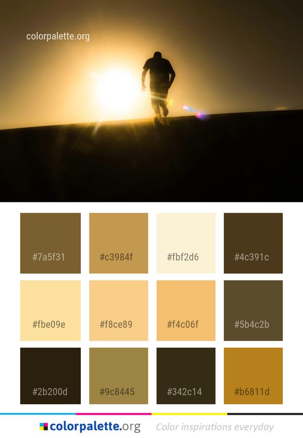 Sky Yellow Light Color Palette