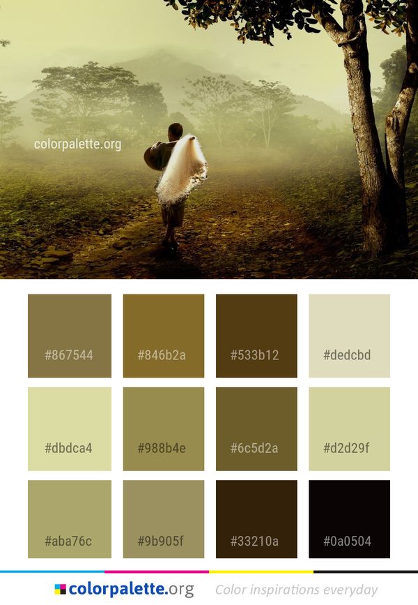Tree Woody Plant Photography Color Palette