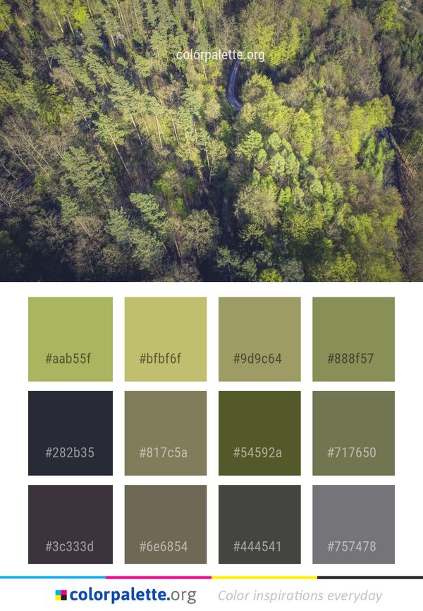 Vegetation Ecosystem Nature Reserve Color Palette