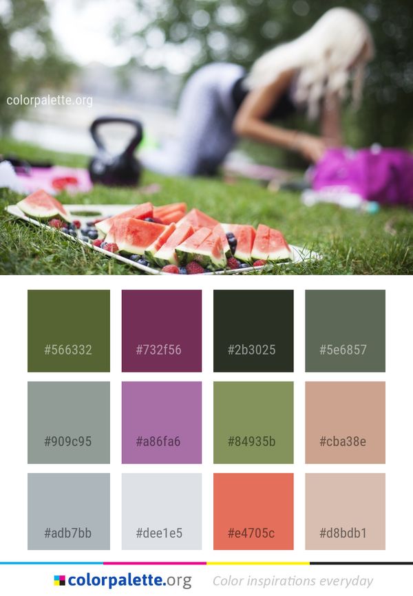 Watermelon Plant Melon Color Palette