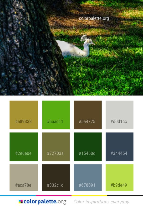 Bird Grass Leaf Color Palette