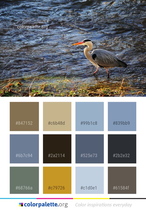 Bird Water Ecosystem Color Palette