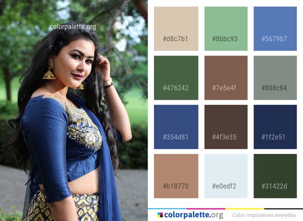 Blue Abdomen Trunk Color Palette
