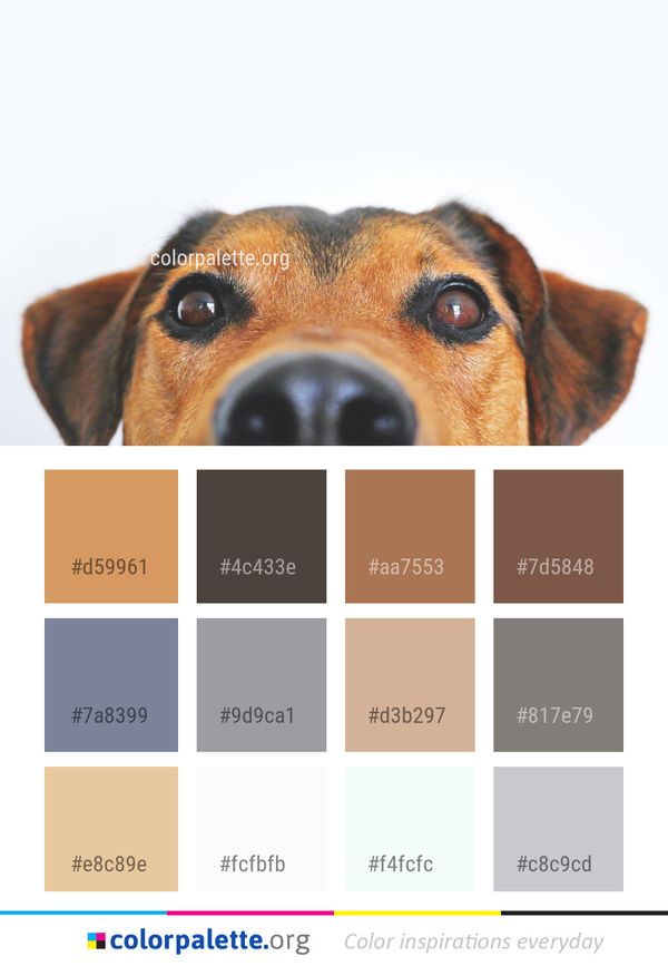 Dog Breed Like Mammal Color Palette