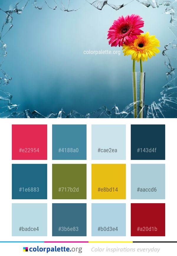 Flower Flowering Plant Yellow Color Palette