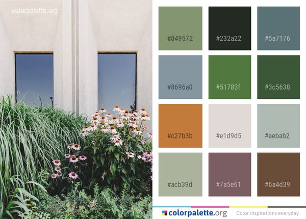 Flower Plant Flora Color Palette