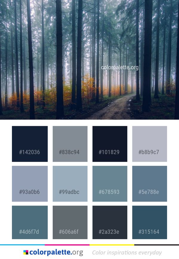 Forest Nature Ecosystem Color Palette