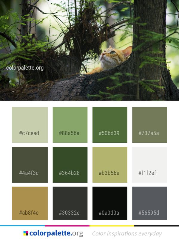 Green Ecosystem Fauna Color Palette