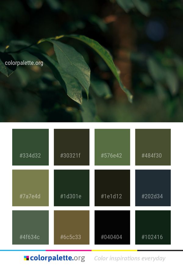 Leaf Green Vegetation Color Palette