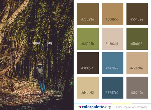Nature Tree Green Color Palette