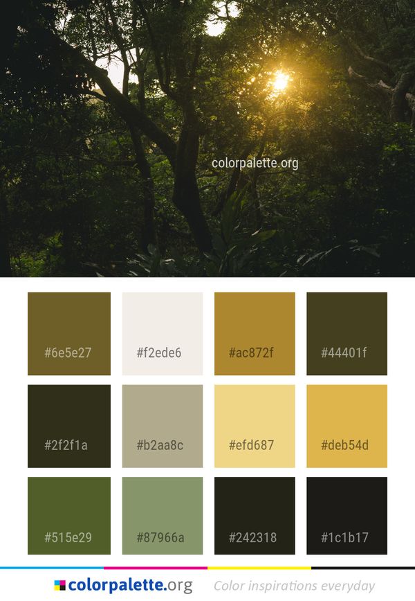 Nature Vegetation Forest Color Palette