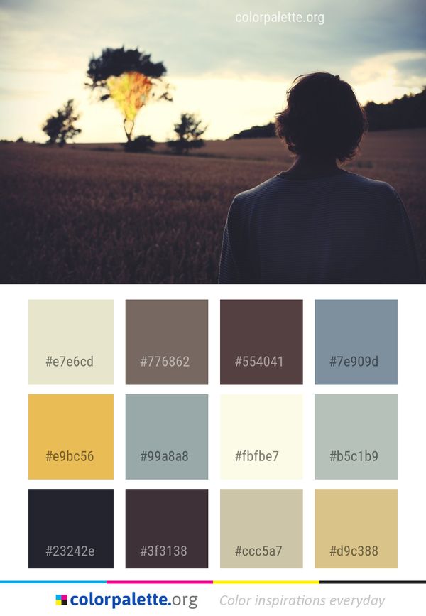 Sky Cloud Tree Color Palette