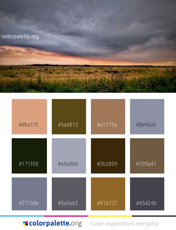 Sky Ecosystem Grassland Color Palette