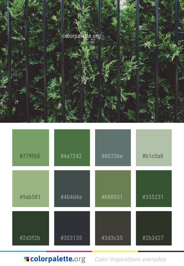 Vegetation Ecosystem Plant Color Palette