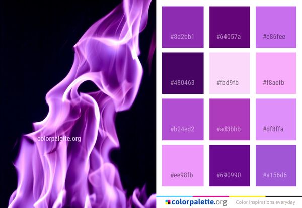 Violet Purple Pink Color Palette