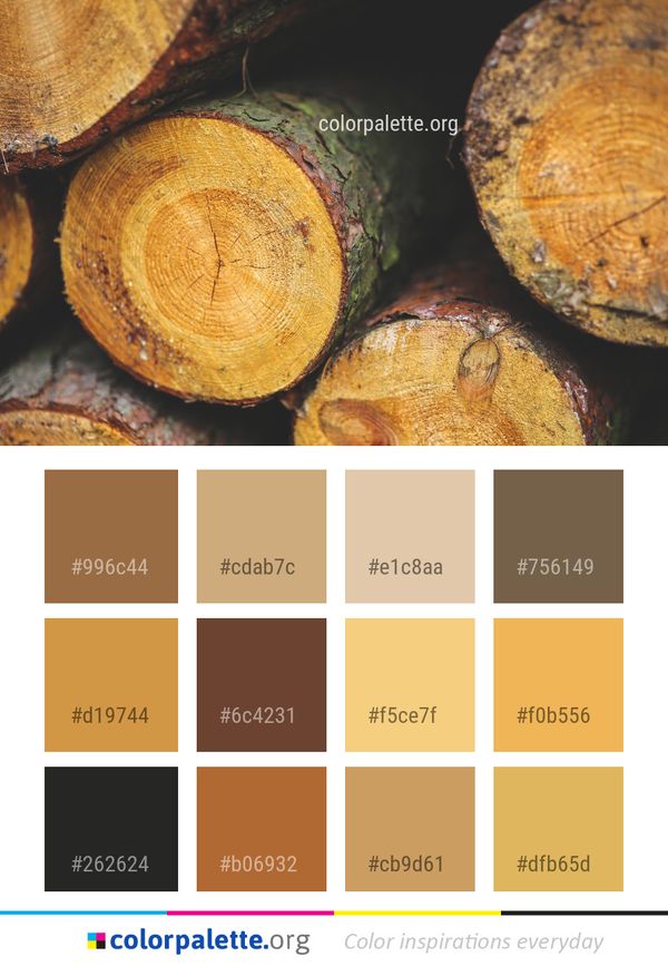 Wood Close Up Macro Photography Color Palette