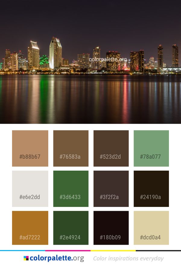 Cityscape City Reflection Color Palette